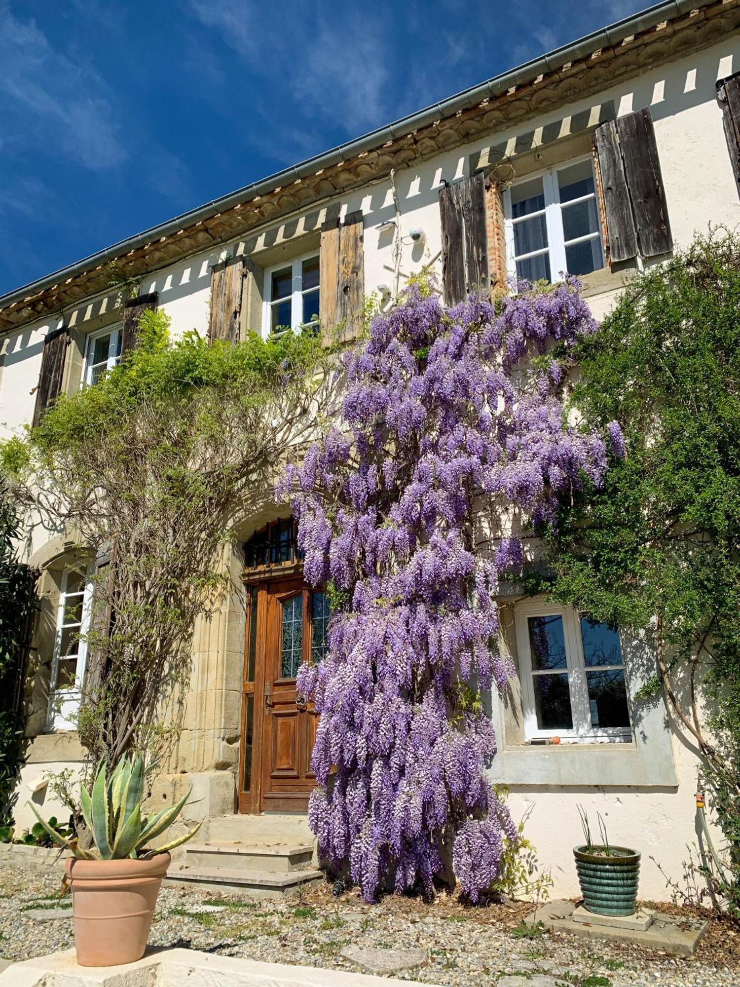The East Wing - Carcassonne Vila Montréal Exterior foto